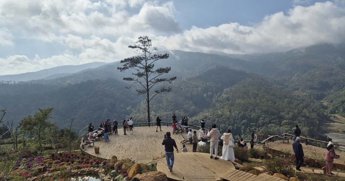 Đi du lịch dịp tết với người lạ: Nên hay không?