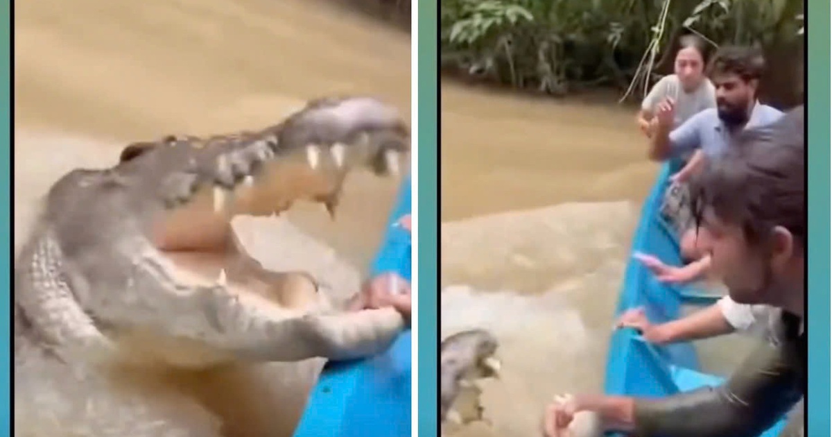 Hiểm họa những video giả từ AI