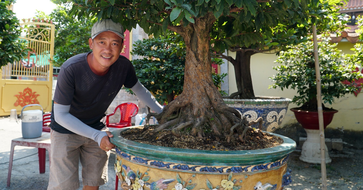 Mai tết 'đổ bộ' đường Phạm Văn Đồng: Treo giá 300 triệu, 'khách trả 240 triệu vẫn chưa bán'