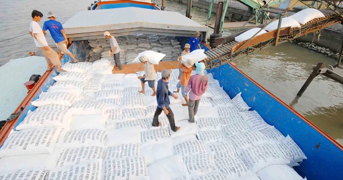 Khách mua gạo lớn nhất của Việt Nam lên đơn mới cho tháng 2