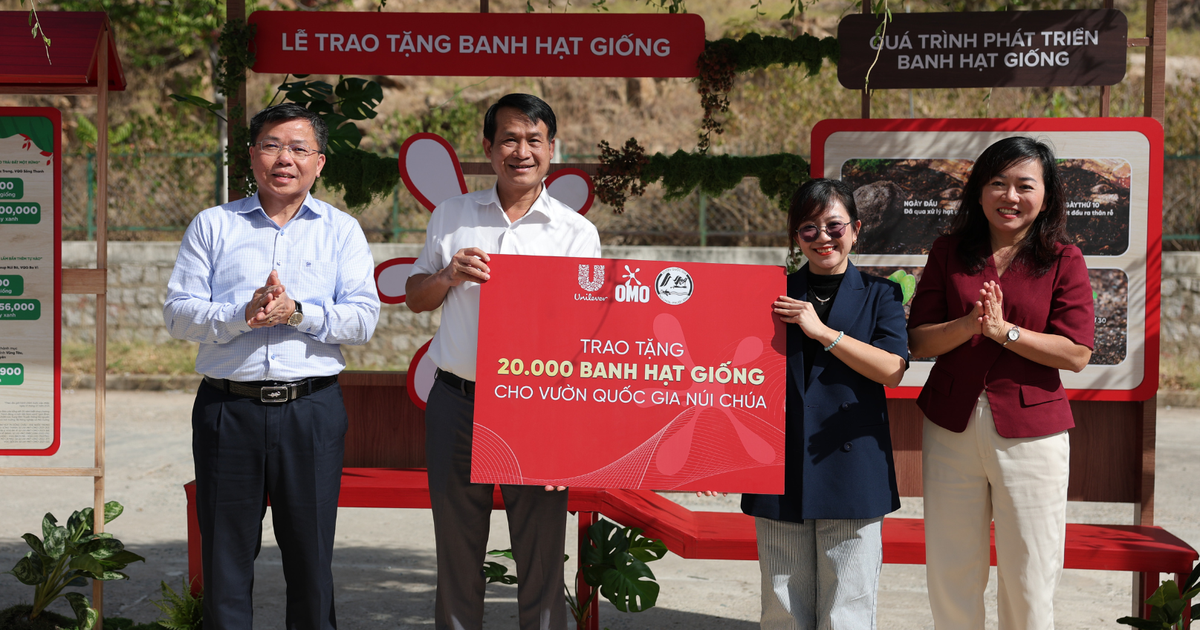 OMO viết chương tiếp của hành trình 1 triệu cây: Từ Núi Chúa đến khắp Việt Nam