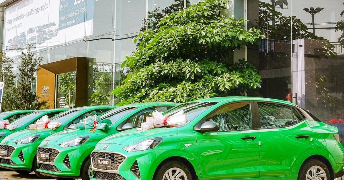 Chủ tịch Tập đoàn Mai Linh thuộc diện sẽ bị tạm hoãn xuất cảnh