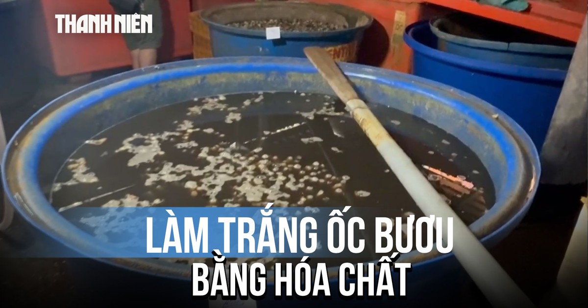 Hãi hùng cơ sở ‘làm đẹp’ ốc bươu bằng hóa chất