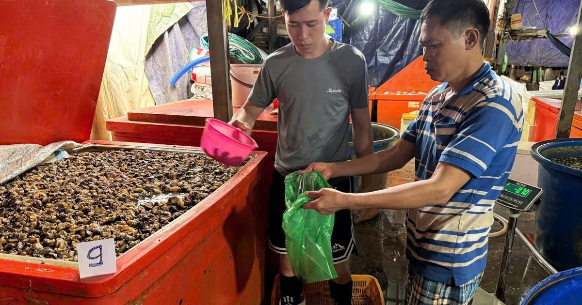 TP.HCM: Bắt vụ ngâm 3.000 tấn ốc bươu bằng 500 tấn hóa chất dùng trong xây dựng