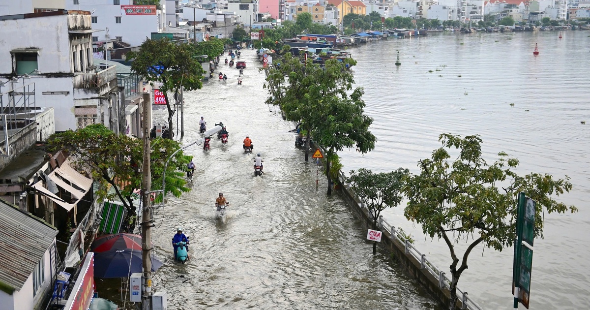 TP.HCM siết chặt phòng thủ dân sự, chủ động ứng phó thiên tai năm 2026