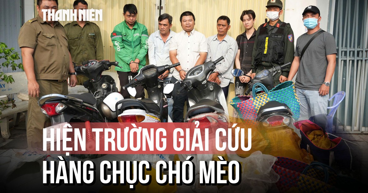 Hiện trường ám ảnh giải cứu hàng chục chó mèo trong túi chờ ngày tiêu thụ