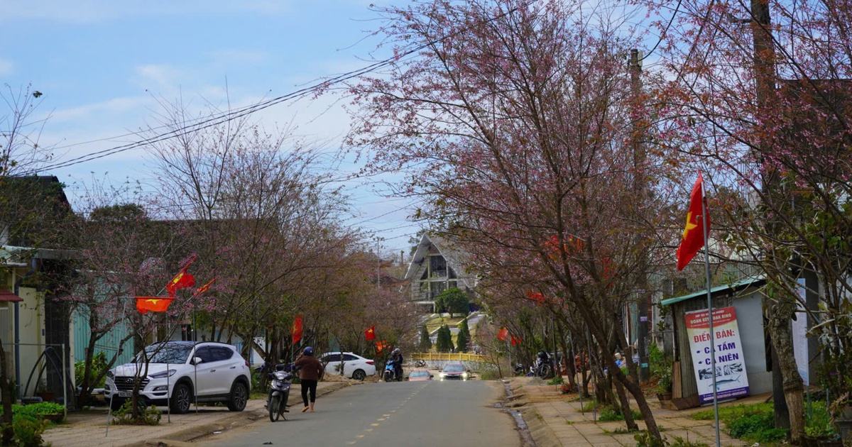 Nhiều người trẻ chọn 'tết tối giản', vì sao?