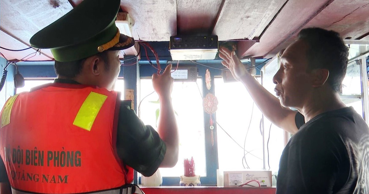 Đà Nẵng ra công điện 'tuyên chiến' với khai thác hải sản bất hợp pháp