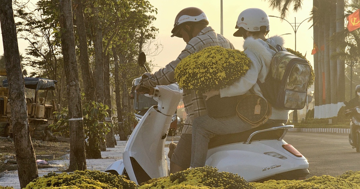 Hoa tết vượt lũ, nhà vườn nói thẳng: 'Chịu lỗ công để bà con có hoa chơi tết'