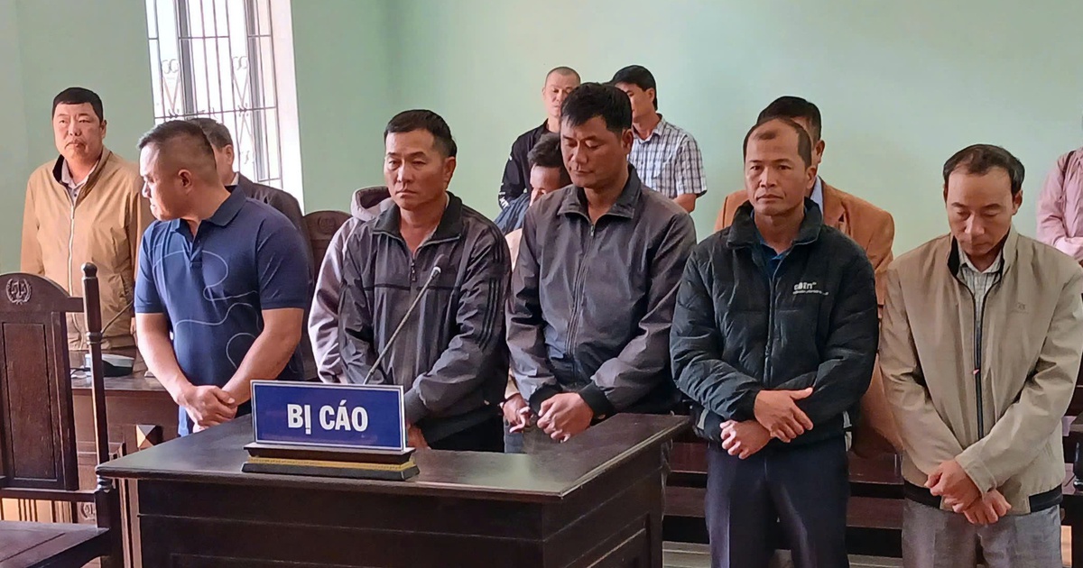 Nhận hối lộ, 3 nhân viên bảo vệ rừng bị phạt tù