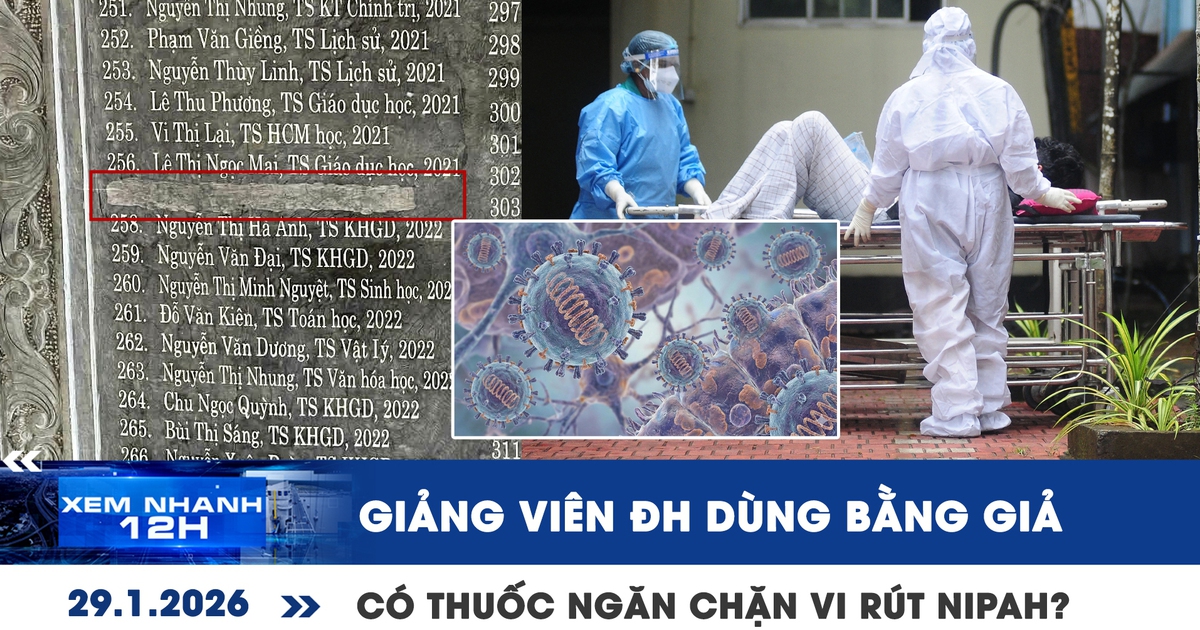 Xem nhanh 12h: Giảng viên đại học dùng bằng giả | Có thuốc ngăn chặn vi rút Nipah?