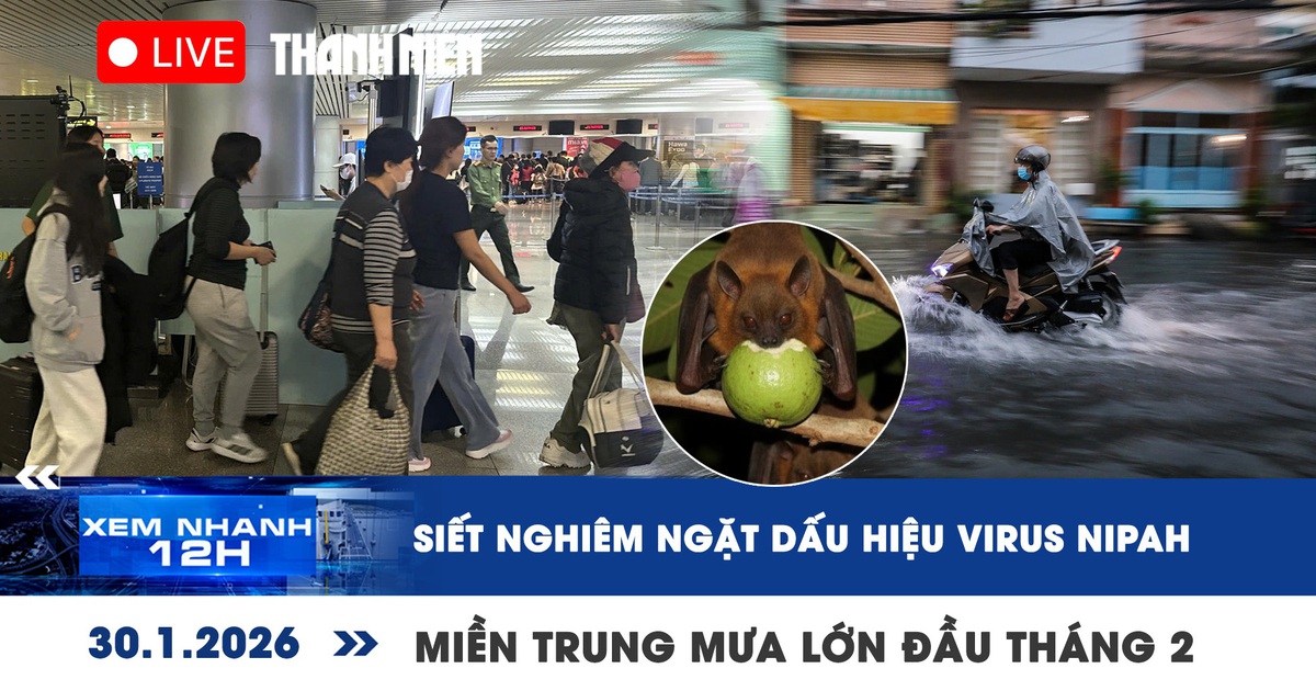 Xem nhanh 12h: TP.HCM siết nghiêm ngặt dấu hiệu virus Nipah | Miền Trung mưa lớn đầu tháng 2