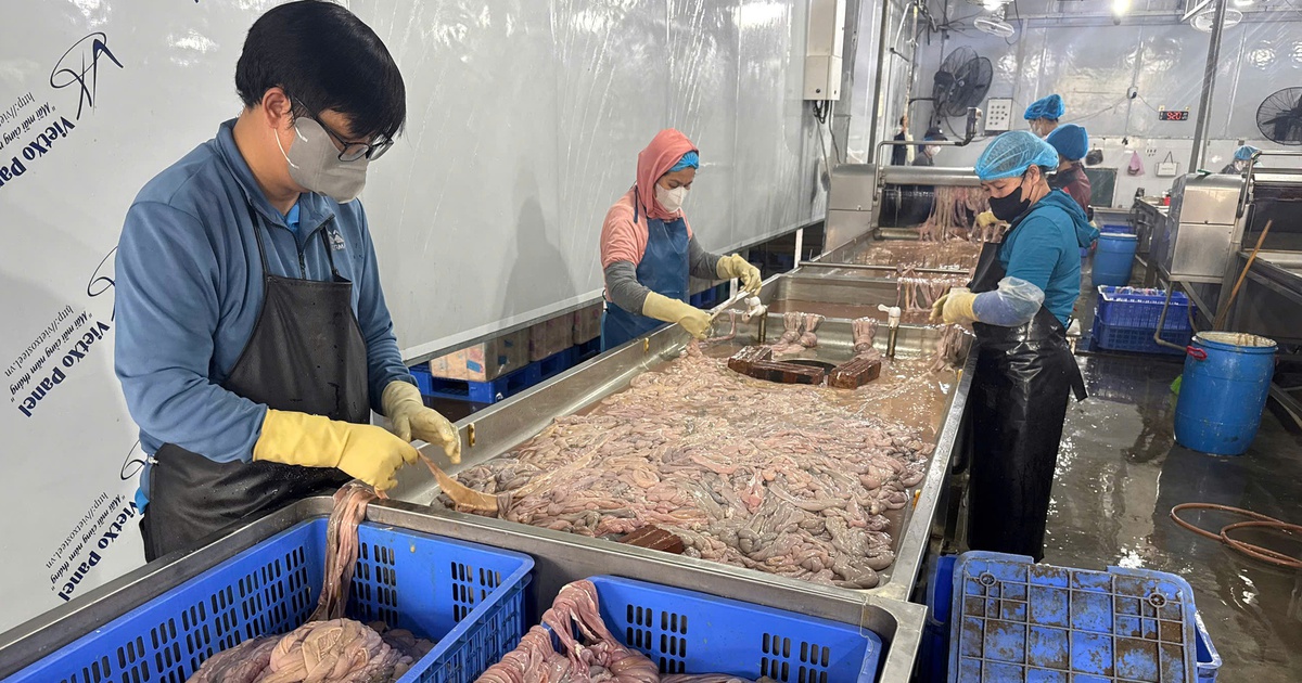 Công an Hà Nội thu hơn 60 tấn lòng lợn bẩn tại Công ty Dũng Phát