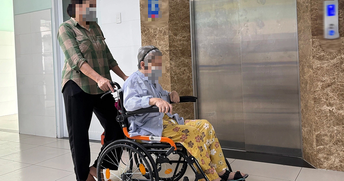 Nghề nuôi bệnh: Đừng đào tạo theo kiểu 'cưỡi ngựa xem hoa'