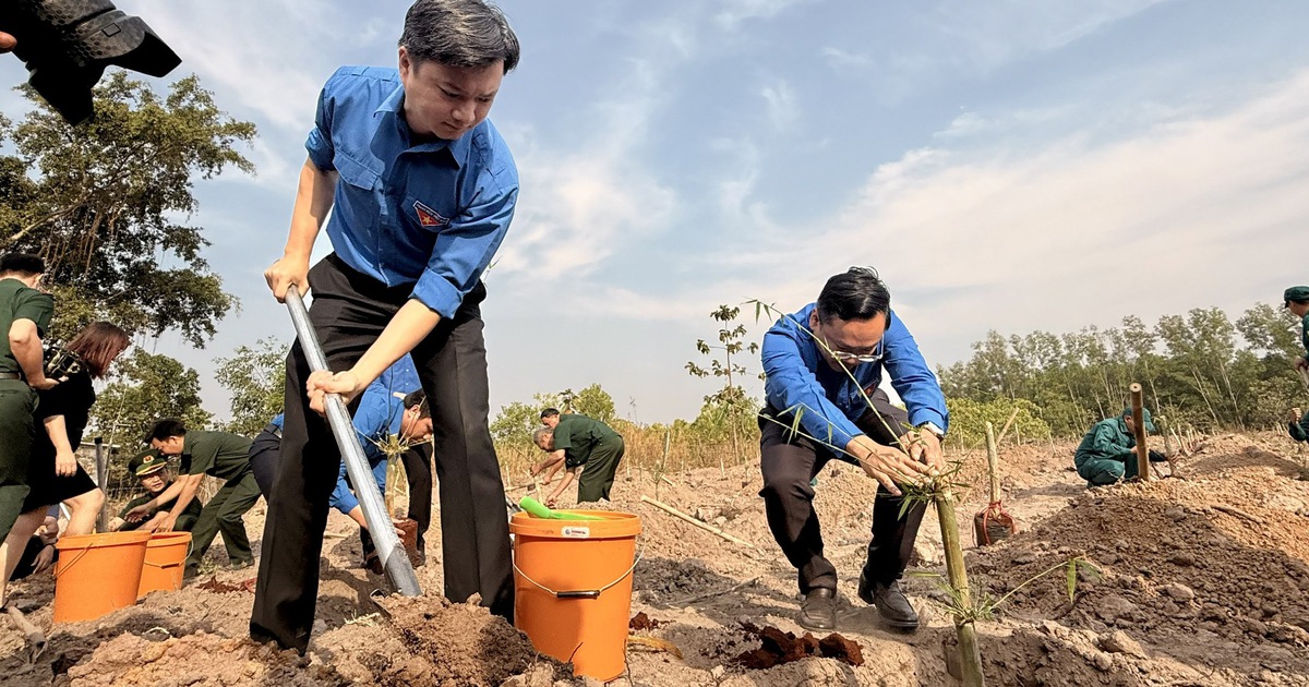 Trồng hơn 11.000 cây tre ở khu vực biên giới Đồng Nai
