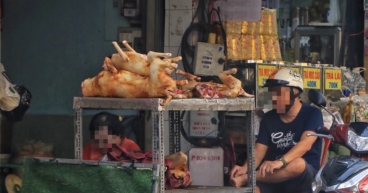 Những 'phố thịt chó' một thời ở TP.HCM: Nhiều quán đóng cửa vĩnh viễn