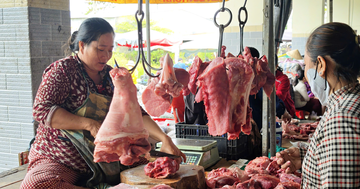 Giá heo hơi hôm nay 31.1.2026: Mất mốc 80.000 đồng