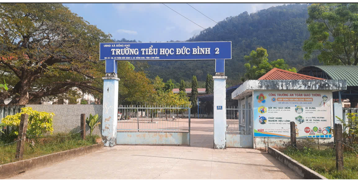 Giáo viên tố cáo hiệu trưởng 'lợi dụng chức vụ, hưởng chế độ chính sách trái quy định'