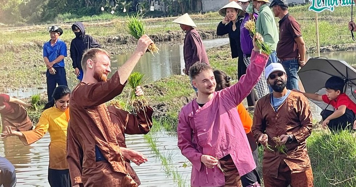 Khách Tây lội ruộng cấy lúa cùng nông dân