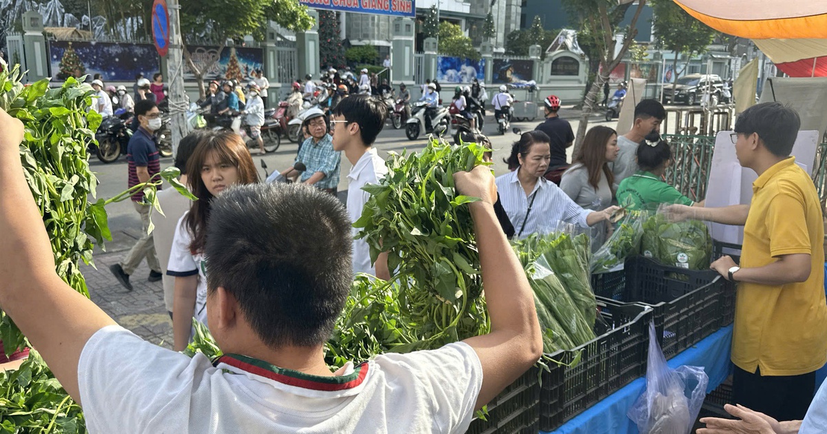 Rau sạch 'cháy hàng' giữa TP.HCM, từ vườn quê lên bàn ăn cuối tuần