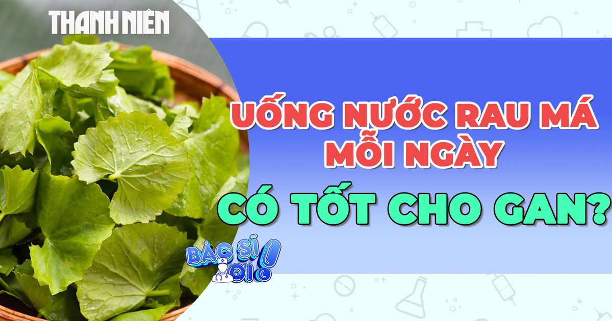 Uống rau má thường xuyên liệu có tốt cho gan?