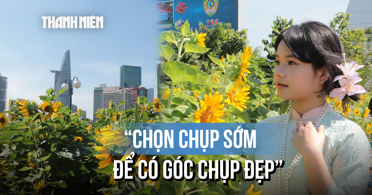 'Giải mã' vườn hoa hướng dương ven sông Sài Gòn: Lý do nô nức chụp ảnh sớm đầu năm