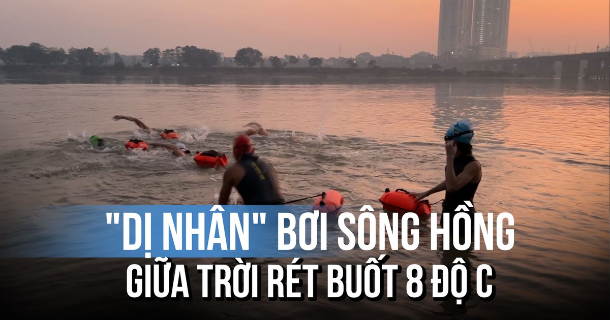 Giải mã 'dị nhân' thách thức giá rét 8 độ C bơi sông Hồng sáng sớm