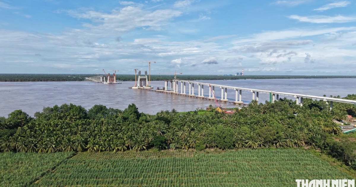 Mưa gió, côn trùng làm ảnh hưởng việc thi công cầu Đại Ngãi