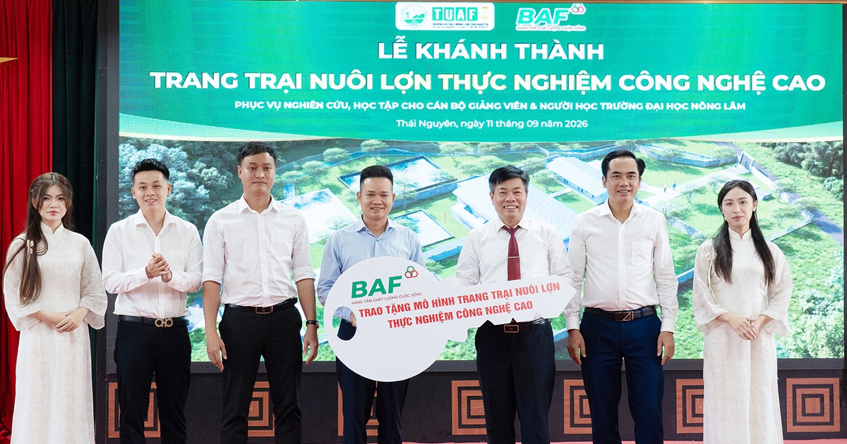 BAF Việt Nam: Đầu tư giáo dục thực tiễn, kiến tạo sinh kế bền vững