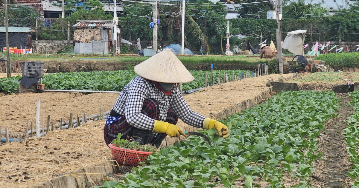 Khôi phục sinh kế, chủ động trước mùa lũ