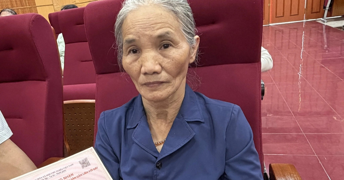 Cấp nhầm sổ đất cho dân, chính quyền xã giải quyết như thế nào?