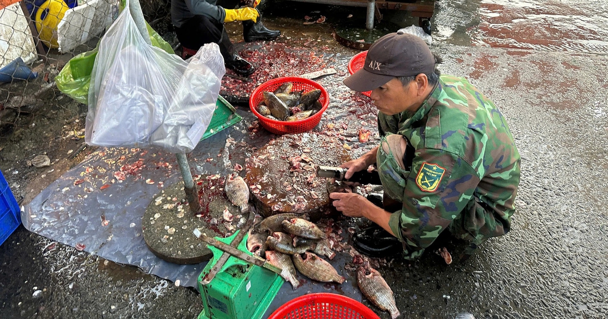 Đừng buông lỏng chợ tự phát