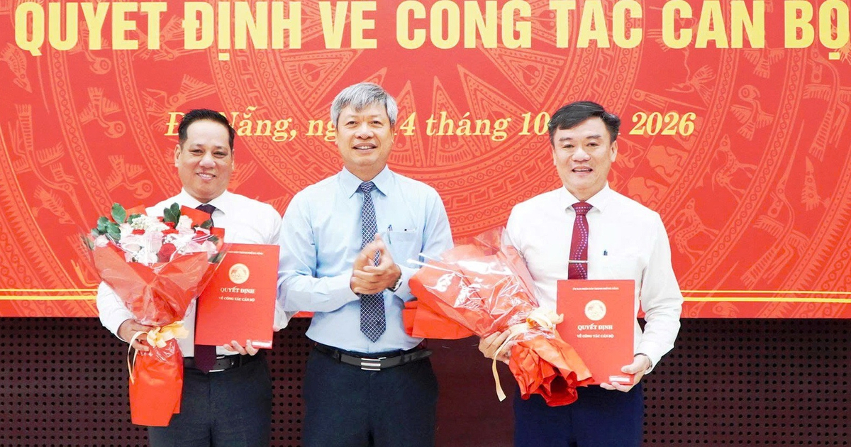 Đà Nẵng bổ nhiệm hiệu trưởng Trường cao đẳng Y tế, Phó giám đốc Sở Ngoại vụ