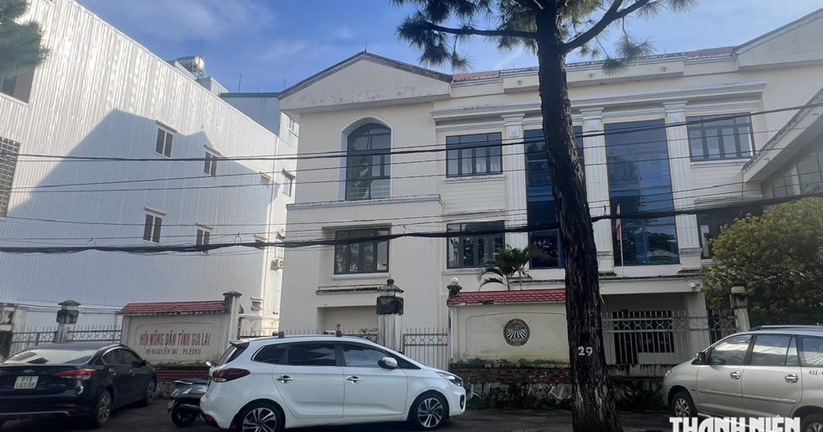 Đấu giá nhiều khu "đất vàng" ở Gia Lai