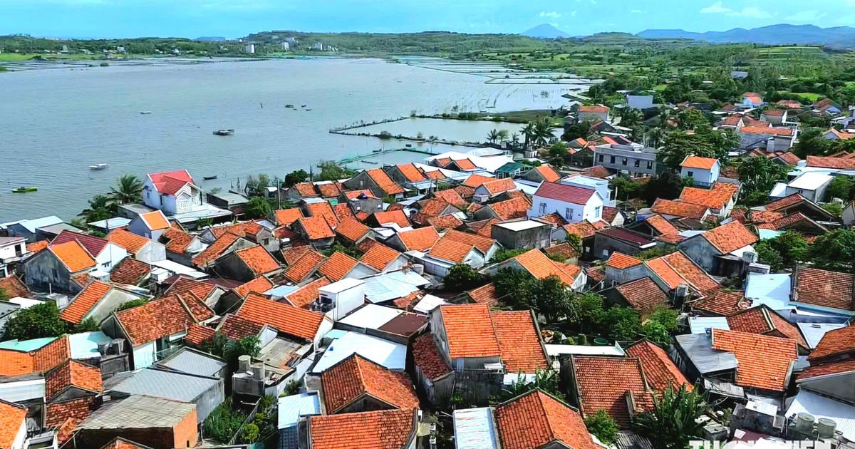 Danh thắng đầm &Ocirc; Loan: Sẽ l&agrave; điểm du lịch 'c&oacute; một kh&ocirc;ng hai' của Đắk Lắk?