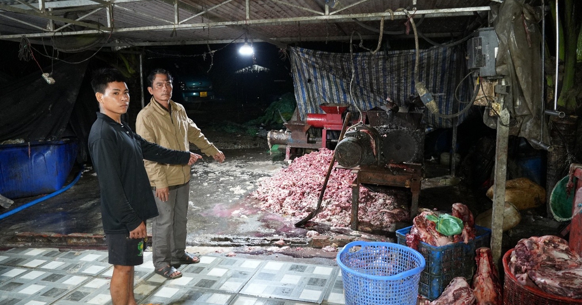 Triệt phá lò mổ heo bệnh, heo chết bán để sản xuất giò chả ở Đồng Nai