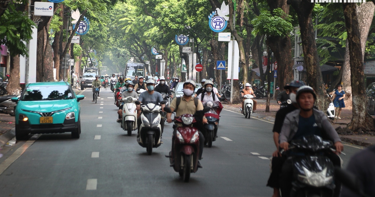 Hà Nội định hướng cây xanh đặc trưng cho tuyến phố nội đô thế nào?