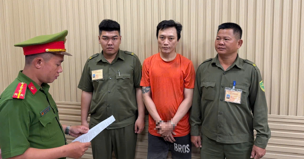 Bắt giam người đàn ông cầm gậy đập phá ô tô trên đường ở TP.HCM
