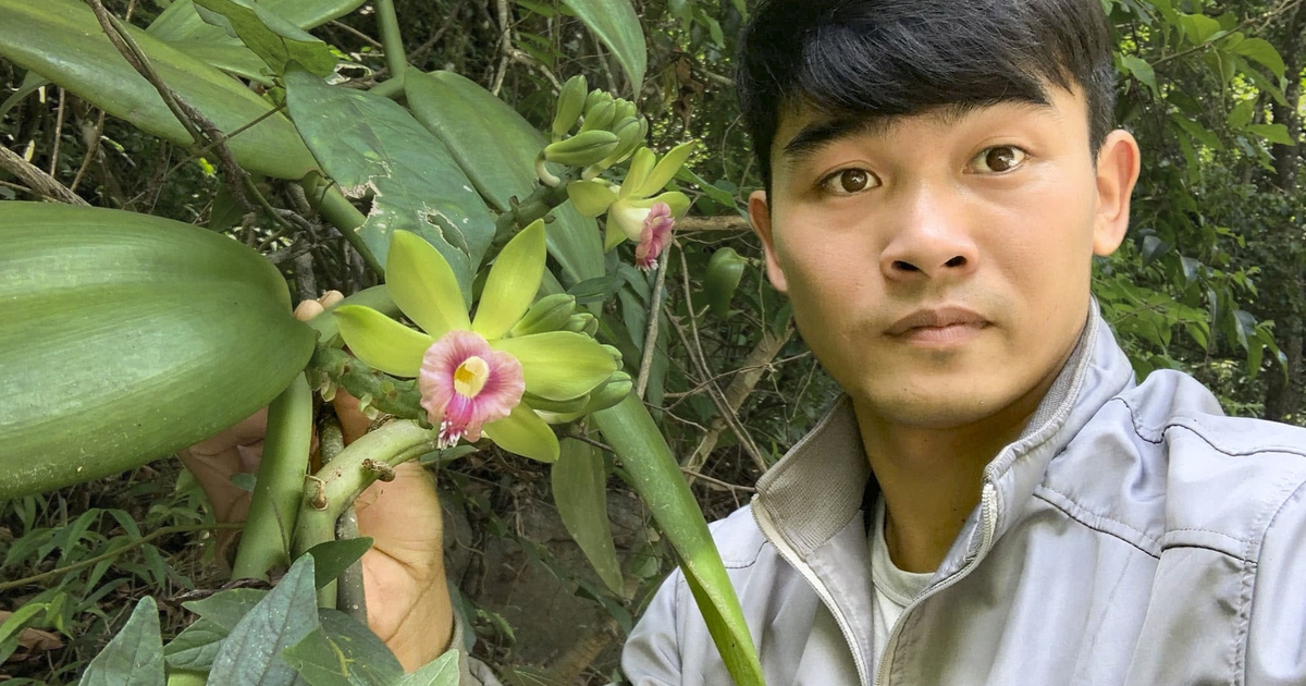 Lạ kỳ hoa cỏ quanh ta: "Giấy khai sinh" viết bằng máu