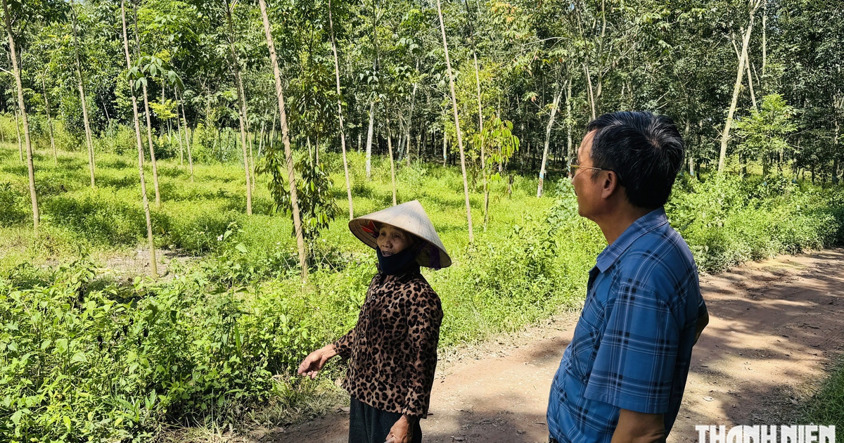 Vụ cấp nhầm sổ đỏ ở TP.HCM: Luật sư n&oacute;i g&igrave;?