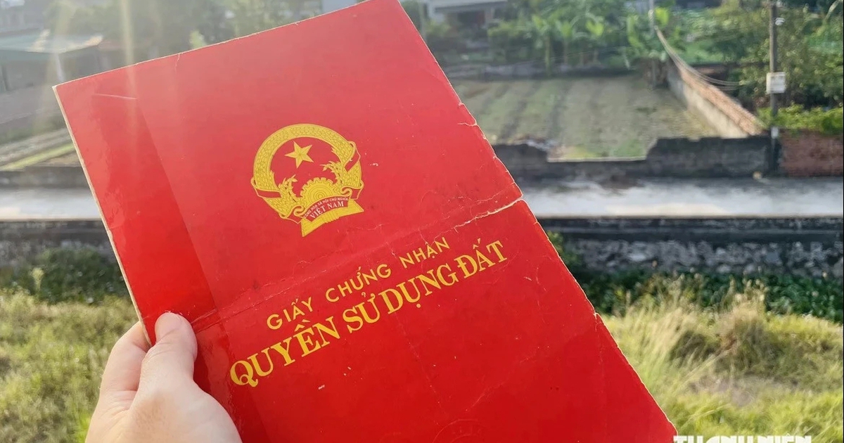 Cha mẹ mất sớm, con có được chia thừa kế nhà đất của ông bà?