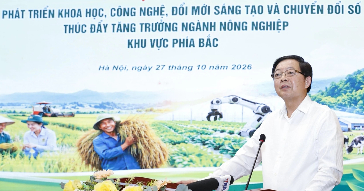 1 m3 gỗ keo 2 triệu đồng, qua chế biến tăng lên 2.500 USD