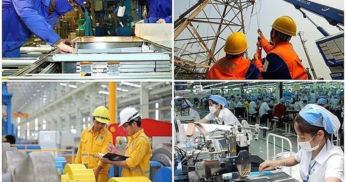 Nhà nước tiếp tục giữ 100% vốn tại các Tập đoàn EVN, PVN, TKV, VEC...