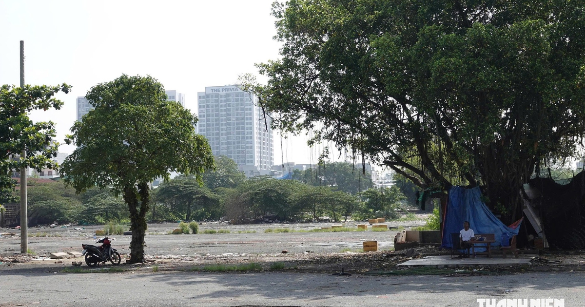 TP.HCM quyết định thu hồi 171 cơ sở nhà đất công