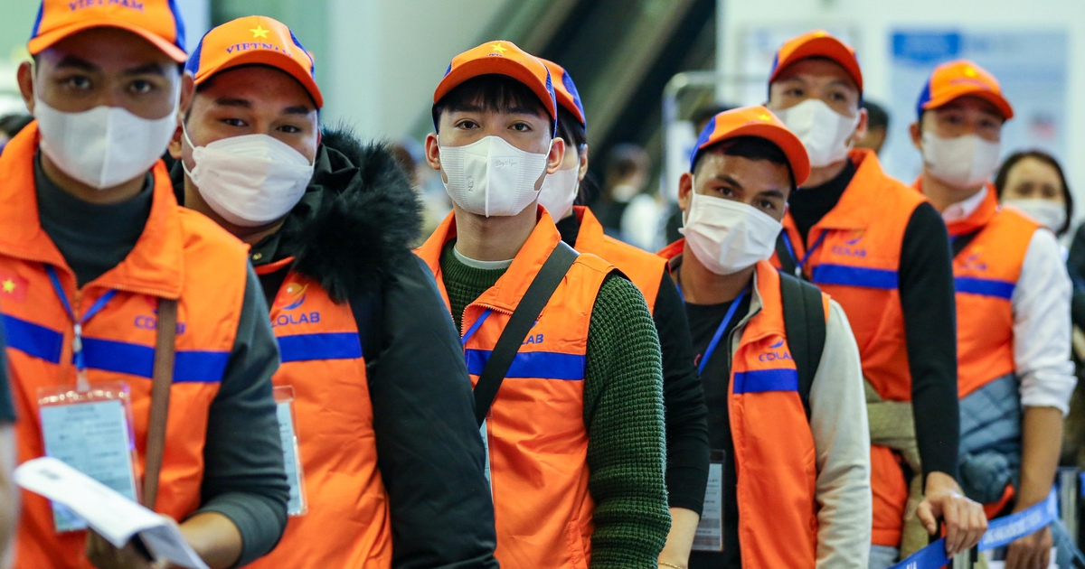 TP.HCM đề xuất hỗ trợ học nghề cho người lao động làm việc ở nước ngoài