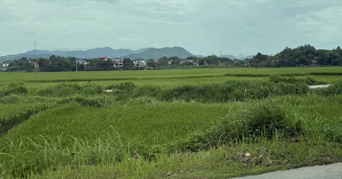 Sẽ quy định rõ tiêu chí "đất bỏ hoang" để làm căn cứ đánh thuế cao