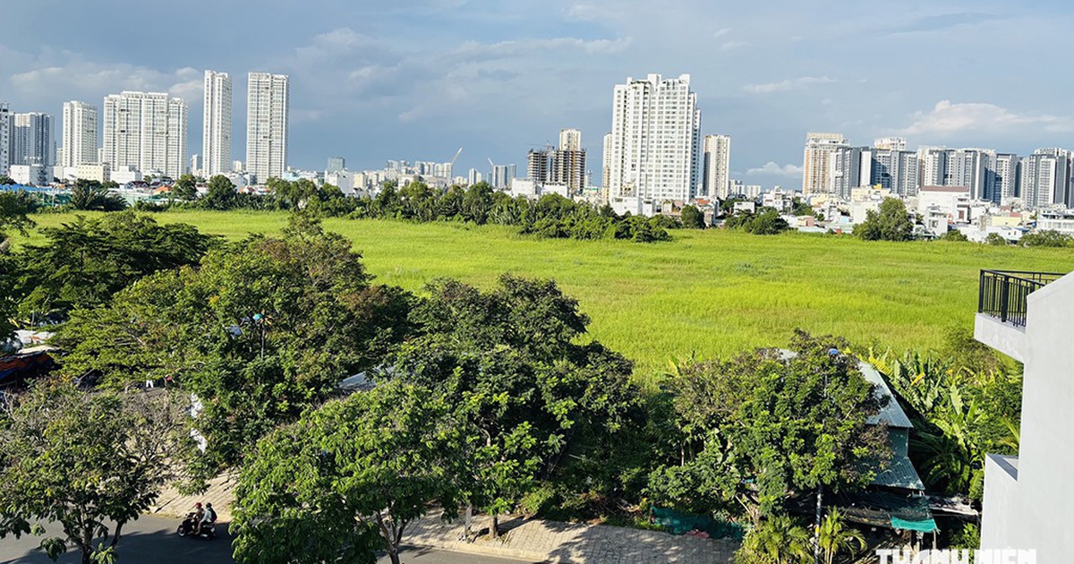 Đề xuất đánh thuế cao "đất bỏ hoang", gấp 7 lần đất trong hạn mức