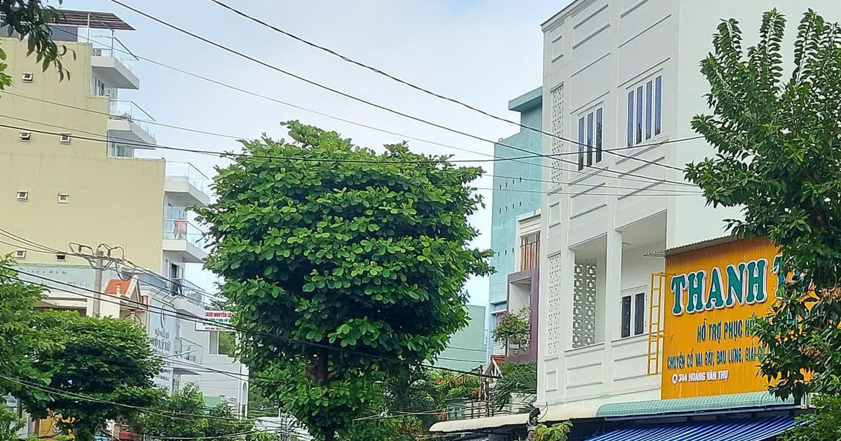 Clip chồng đánh vợ giữa đường tại Quy Nhơn: Công an vào cuộc
