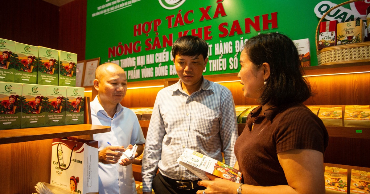 100 năm cà phê Khe Sanh: Loại hạt làm đổi thay vùng đất