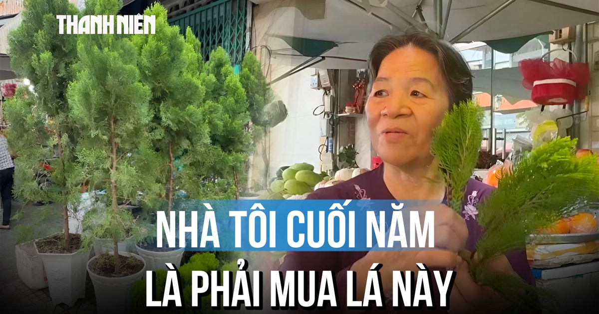 Trắc bách diệp là gì mà hút khách ngày cận Tết?